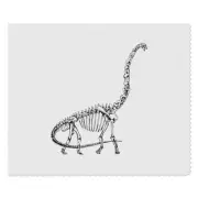 2 x 'Brachiosaurus Skeleton' Lens Cleaning Cloths (LC00020728)