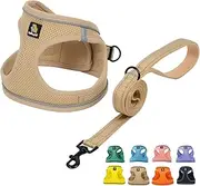BELLA & PAL Puppy Harness with Leash Set, Dog Harness for Small Dogs No Pull, Dog Leash for Puppy, Step in Harness for Extra Small Dogs, Khaki Harness, M