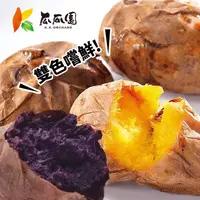 在飛比找生活市集優惠-【瓜瓜園】紫心地瓜1kg/冰烤地瓜900g/雙色地瓜組