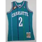 BNWT Mitchell & Ness HWC Swingman Hornets Larry Johnson jersey