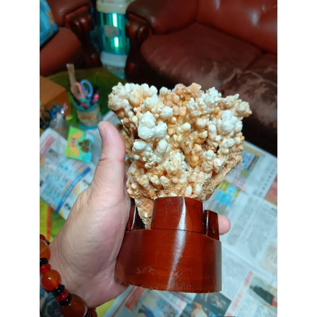 鍾乳石的價格推薦- 2026年07月|飛比價格
