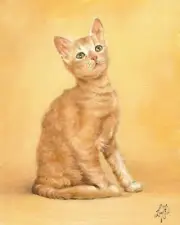 ✿ ORIGINAL Oil Portrait Painting ALPACA CAT LA PERM Artist Signed Artwork Tabby