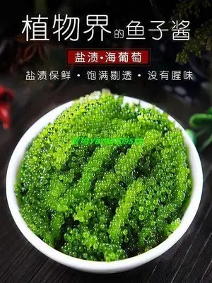 熱銷 買2送1 買3送2 越南進口 海葡萄 綠色魚子醬 即食海洋蔬菜 新鮮海藻100g  滿300元出貨