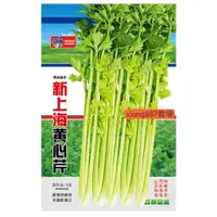 在飛比找蝦皮購物優惠-💋蔬菜大全🌱新上海黃心芹菜種子 農田菜地豐産蔬菜四季種植 芹