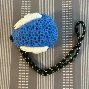 Dog Toy for Large Dogs Blue Sealife Themed Hide Food Inside Attached to a Rope