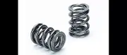 Supertech SPR-H1000D Dual Valve Springs Kit for Honda Acura H22a1 H22a4