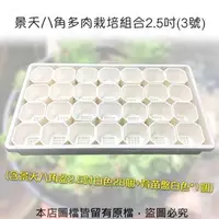 在飛比找特力屋線上購物優惠-[特價]景天八角多肉栽培組合2.5吋(3號)育苗盤白色無孔