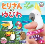 全套5款 日本正版 什麼鳥戒指 扭蛋 轉蛋 金剛鸚鵡 葵花鳳頭鸚鵡 貓頭鷹 指尖上的鳥 - 745408