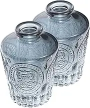Homoyoyo 2 Pcs Diffuser Bottle Multi Purpose Refillable Aromatherapy Bottles for Home Office Spa and Parties Elegant Design for Essential Oils and Fragrance Release