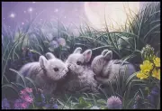 Greeting Card - Rabbit - Kirk Reinert - Easter - 0300