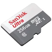 在飛比找PChome24h購物優惠-SanDisk 256GB 256G microSDXC【1