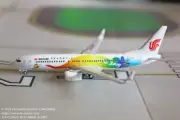 JC Wing Air China Boeing 737-800W Expo 2019 Color Diecast Model 1:400