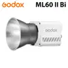 Godox 神牛 ML60 II Bi 雙色溫LED攝影燈 公司貨