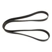 Continental 4081295 Serpentine Belt For 08-23 Ford Ram 2500 3500 E-350 SD (for: Ford)