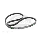 Gates Green Stripe Truck and Bus Series V-Belt - TR28680
