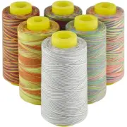 Rainbow Variegated Polyester Serger Sewing Thread, 6 Cones of 3000 Yards Each...