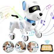 Remote Control Robot Dog Toy Programmable Smart RC Stunt Robot Dog for Kids 3+