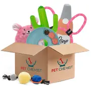 ZippyPaws Clearance Bundle Box | For Dogs