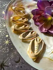 20 Bat Volute Center Cut Seashells, Lightweight Laser Cut Crafting Shells