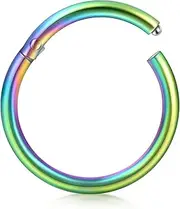 [DJCIW] Nose Rings 316L Hoop Septum Clicker Hinged Segment Ring Lip Ear Piercing Earrings for Cartilage Helix Tragus Conch Rook Body Piercing Jewewlry 14G 16G 18G 20G,Diameter 5mm to 14mm
