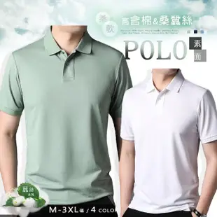 【Billgo】*現貨*涼感蠶絲素面純色短袖POLO衫-4色 M-3XL 休閒運動春夏男上衣(紳士、透氣、質感)