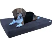 Small Medium Espresso Suede Pet Dog Bed Orthopedic Waterproof Memory Foam 35x20"