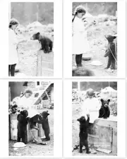 Set Of 4 Photos Small Girl Playing With Bear Cub Seward Alaska Circa 1913
