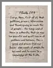 1Timothy Canvas. Bible Art "Timothy" Scripture wall art, wisdom, inspirational