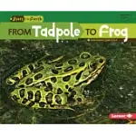 FROM TADPOLE TO FROG