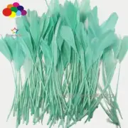 100pcs 6-8inch Top Quality Dyed Mint Green Goose 15-20CM Stripped Feathers