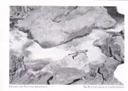 *Postcard-"Man On Rock/Fellows & Torrence Exp.) *Black Canyon/Gunnison, CO.(#263