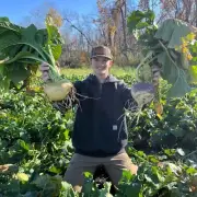 Brassica Buffet Deer Food Plot Mix Food Plot Seed, Seeds 1/2 Acre, Deer, Turkeys