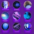 USB Ultraviolet Flashlight Small UV Flashlight Aluminum Alloy For Bed Bug New