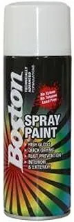 Boston Aerosol Spray Paint Primer 250 g, White