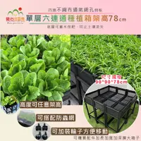 在飛比找PChome24h購物優惠-單層六連通架高90*90*78cm(組合種植箱/籃耕離地栽培