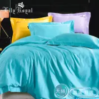 在飛比找momo購物網優惠-【Lily Royal】80支天絲 素色 兩用被床包組(多尺