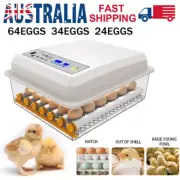 64 Egg Incubator Fully Automatic Digital Turning Chicken Duck Eggs Poultry New