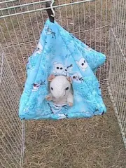 Rat Pyramid Sleeper - Olaf from "Frozen"