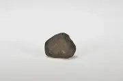 ORDINARY CHONDRITE Meteorite with FRESH CRUST 4.54g - TOP