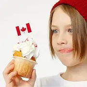 100PCS Canada Flag Cake Topper,Canadian Cupcake Stand For Party Decoration Supplies