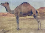 Africa dunes camel W. Spielende Tile Mural Kitchen Backsplash Art Marble Ceramic