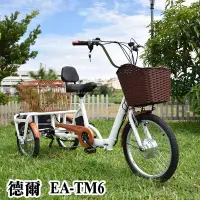 在飛比找Yahoo!奇摩拍賣優惠-德爾綠能 EA-TM6 台灣製造 寵物電動三輪車  搭配Sh