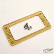 1 Frame Micro TV Jones Gold EM2 Gretsch-Style + Screw