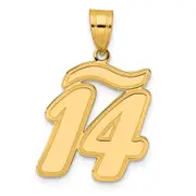 14k Yellow Gold Brushed Border Script Number 14 Pendant