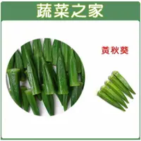 在飛比找樂天市場購物網優惠-【蔬菜之家】G10.黃秋葵種子(品種：翠香)(共有2種包裝可