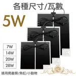 PETPETZONE 寵物保暖加溫片 5W 含控制器 適用爬蟲類 烏龜 魚缸 兔鼠 小動物冬天寒流保暖使用