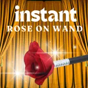 INSTANT ROSE ON MAGIC WAND - Magic & Party Tricks