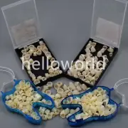 50 Pcs/Box Dental Synthetic Resin Material Teeth Temporary Crown Caps 4 Types