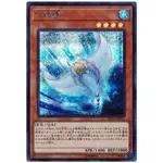 [福順遊戲卡鋪] 現貨 遊戲王 RC03 稀有珍藏包 高級黃金版 RC03-JP011 白棘鱏 半鑽 日紙