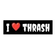 Vinyl Bumper Sticker - I Love Thrash Metal - HOMAGE to Slayer Motorhead Anthrax